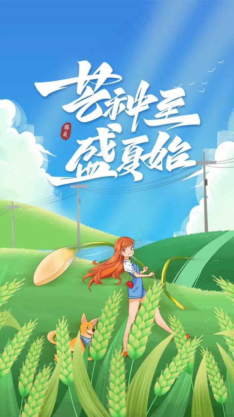 芒种节气传统海报psd模版下载