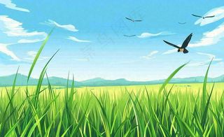 春天草场莺飞小麦地绿色麦苗小满芒种立夏卡通插画背景