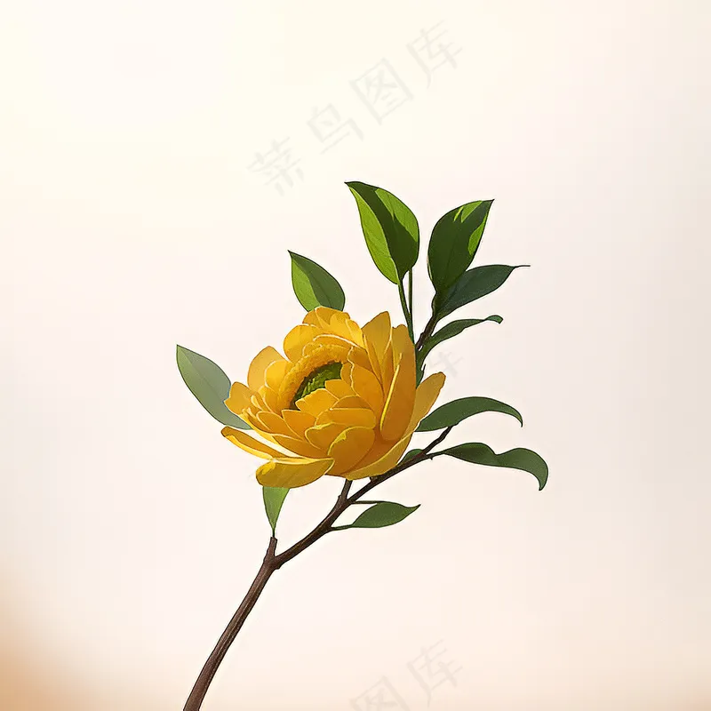 白色黄色手绘新中式风格花植物76