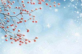 冬天白雪覆盖的红色果实白霜霜降小雪大雪水彩插画背景