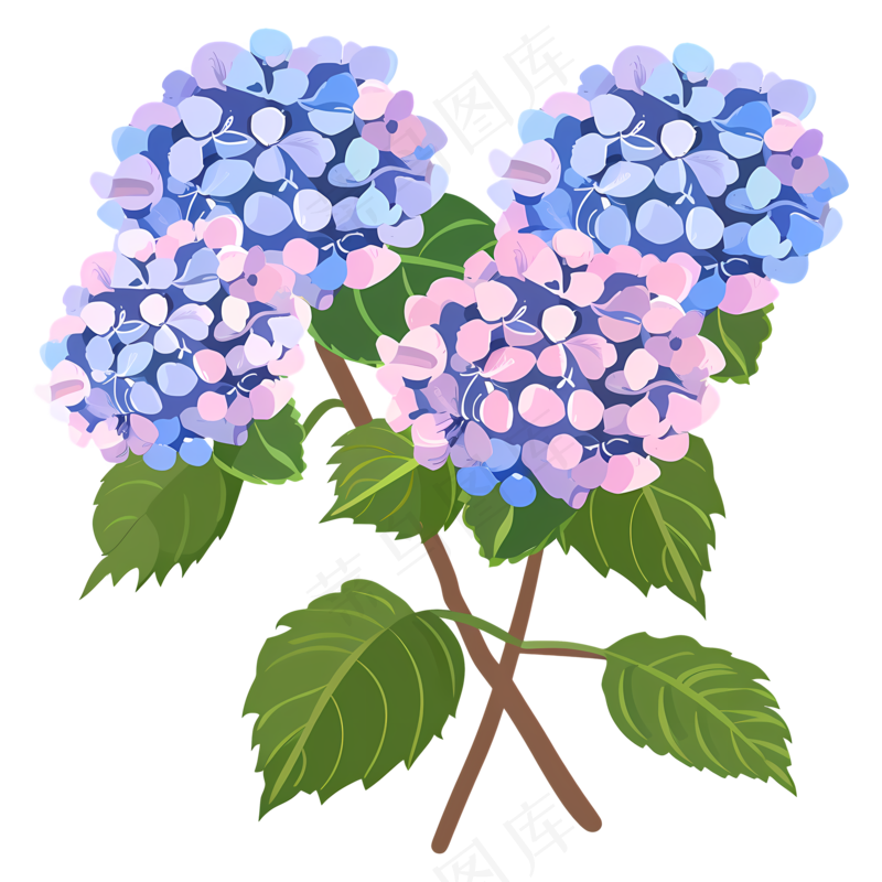 免抠多种颜色的卡通绣球花