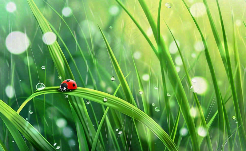 惊蛰雨水谷雨春天瓢虫昆虫绿色嫩草下雨天卡通插画背景(1408x864)