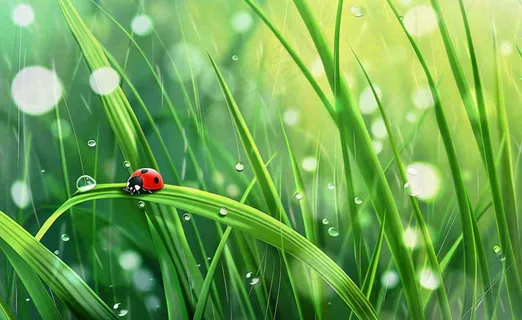 惊蛰雨水谷雨春天瓢虫昆虫绿色嫩草下雨天卡通插画背景 惊蛰雨水谷雨春天瓢虫昆虫绿色嫩草下雨天卡通插画背景