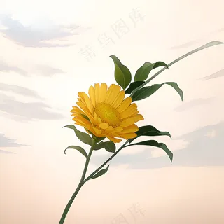 白色黄色手绘新中式风格花植物64 白色黄色手绘新中式风格花植物64