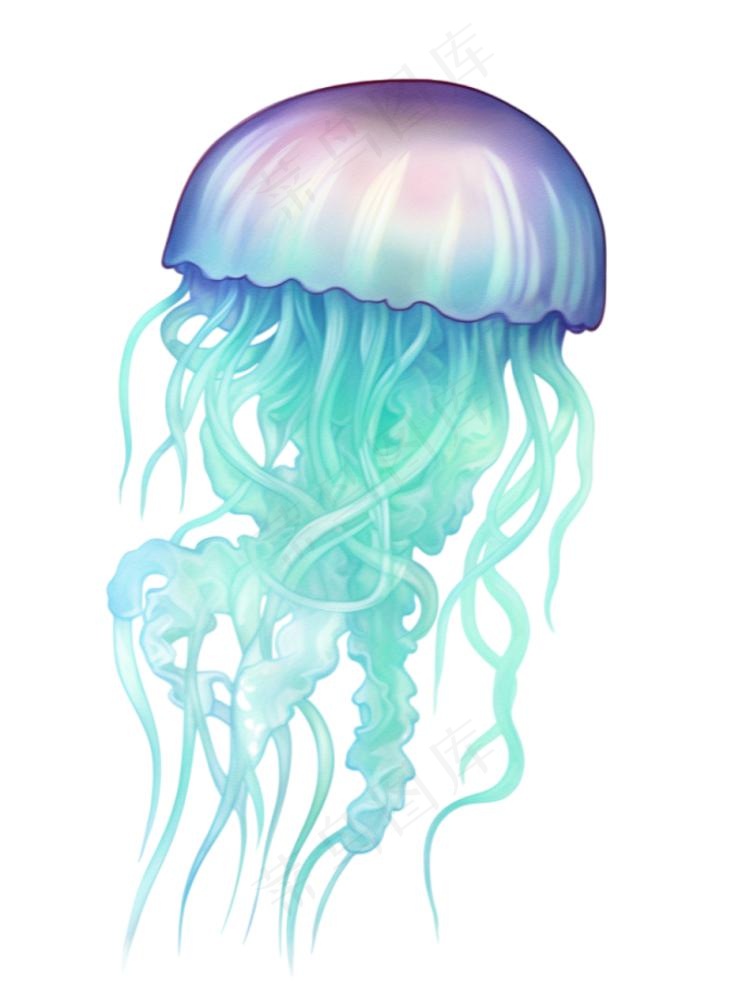 水母海洋海鲜蓝紫色梦幻卡通插画免抠(944x1264)