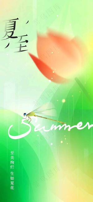 夏至节气传统活动海报