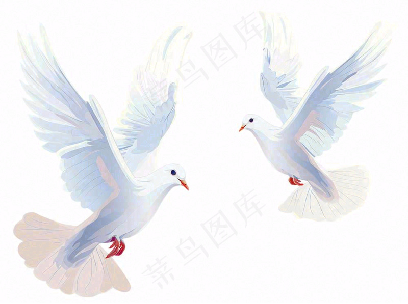 飞鸽白鸽和平鸽鸟卡通插画免抠(1264x944)