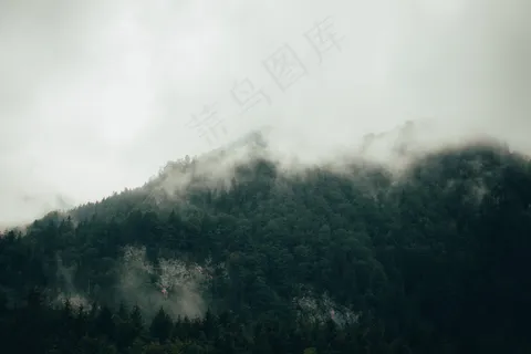 云雾森林图片 云雾森林图片