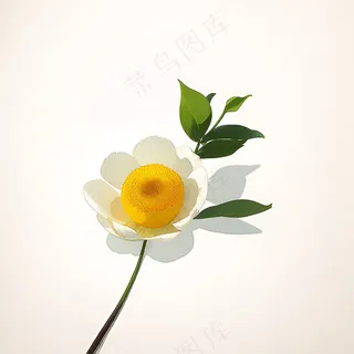 白色黄色手绘新中式风格花植物105
