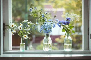 窗台花瓶鲜花清新春日景色摄影图