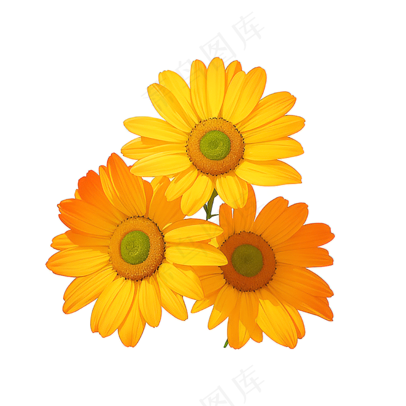黄色向日葵花朵免抠素材26