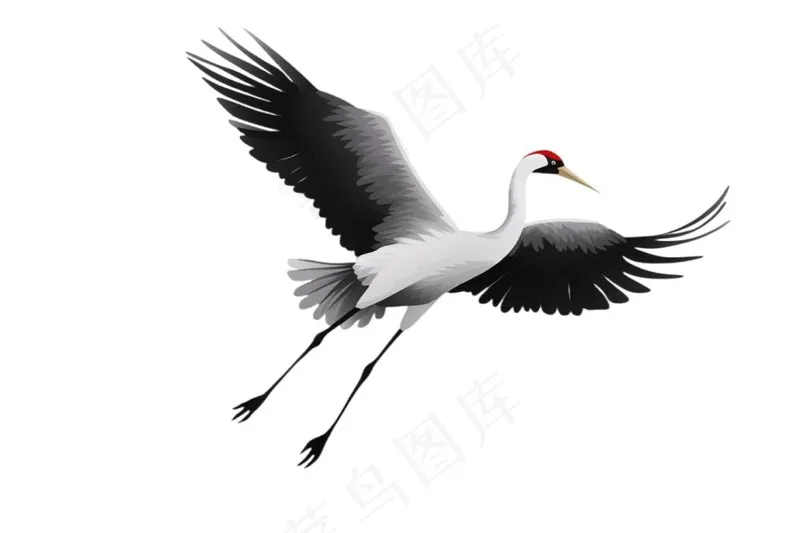 仙鹤白鹤古风插画免抠(1344x896)