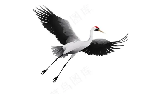 仙鹤白鹤古风插画免抠