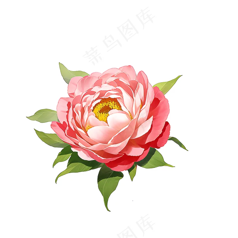 粉色花朵桃花玫瑰免抠素材90