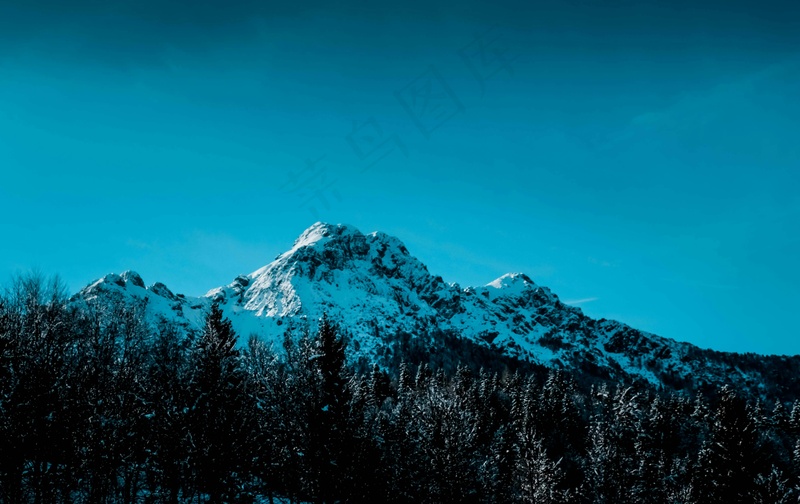 冰雪覆盖的山脉与森林