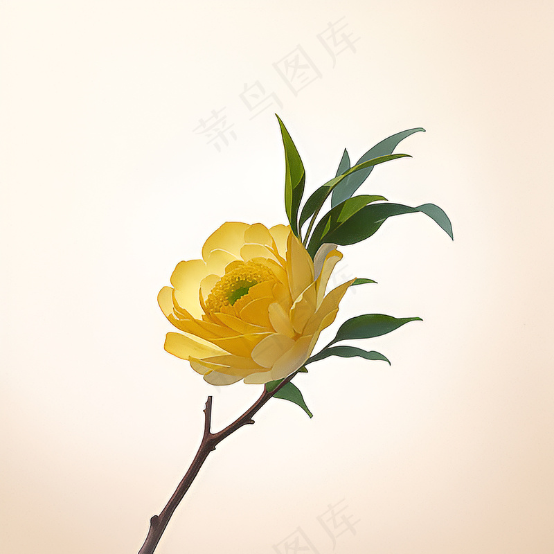 白色黄色手绘新中式风格花植物165