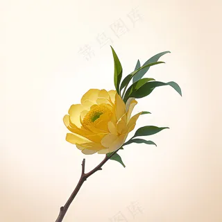 白色黄色手绘新中式风格花植物165 白色黄色手绘新中式风格花植物165