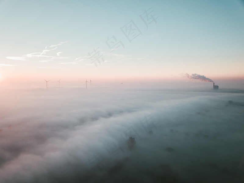 云雾森林图片