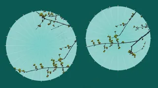 古风系清明节素材油纸伞