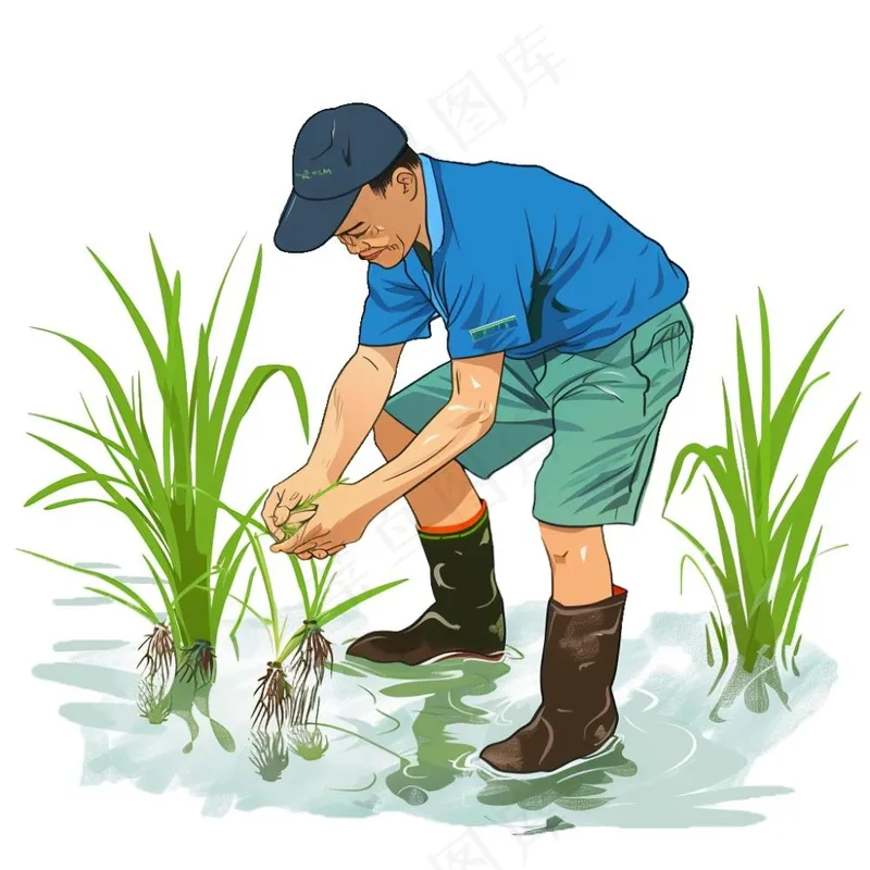 农民种植水稻庄稼劳动人民卡通插画免抠(1024x1024)