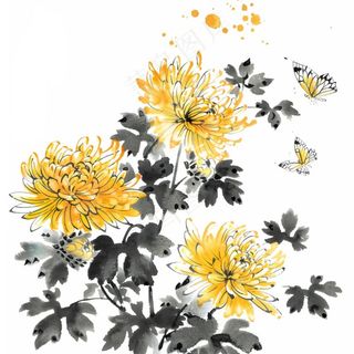水墨菊花蝴蝶清明中秋插画免抠