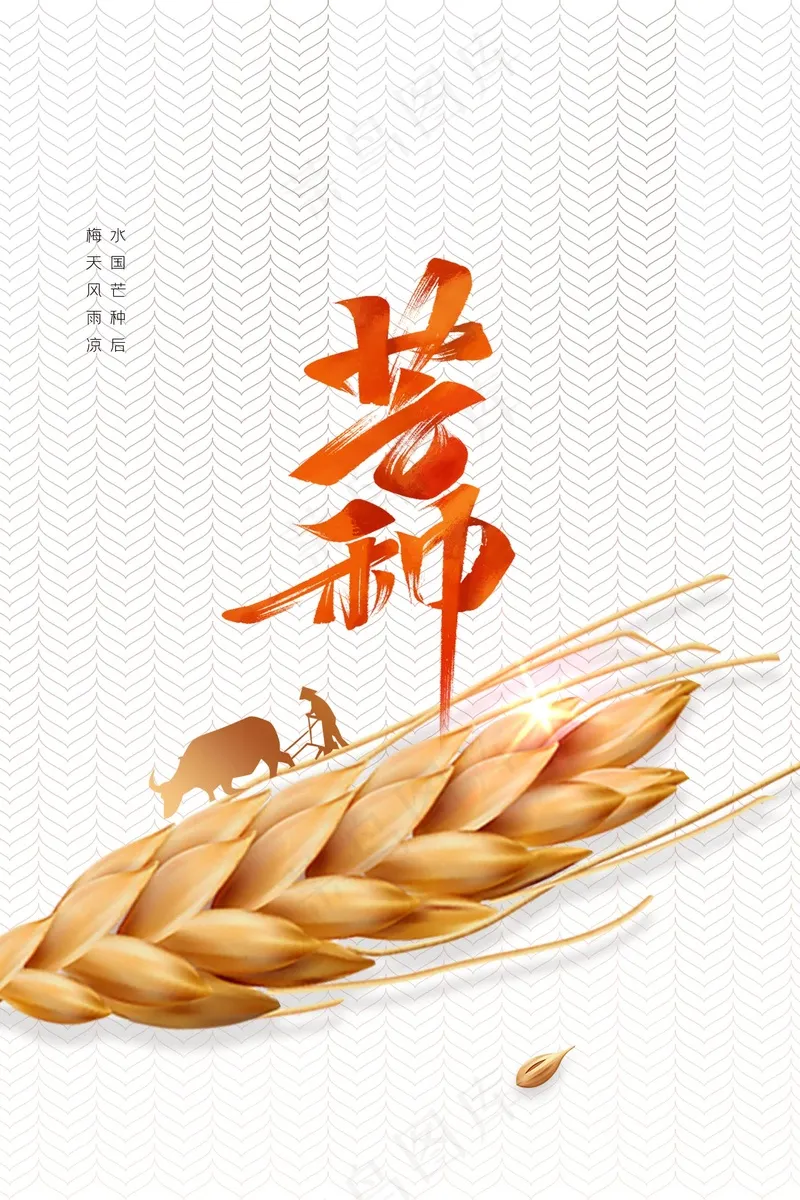 芒种节气传统活动海报psd模版下载