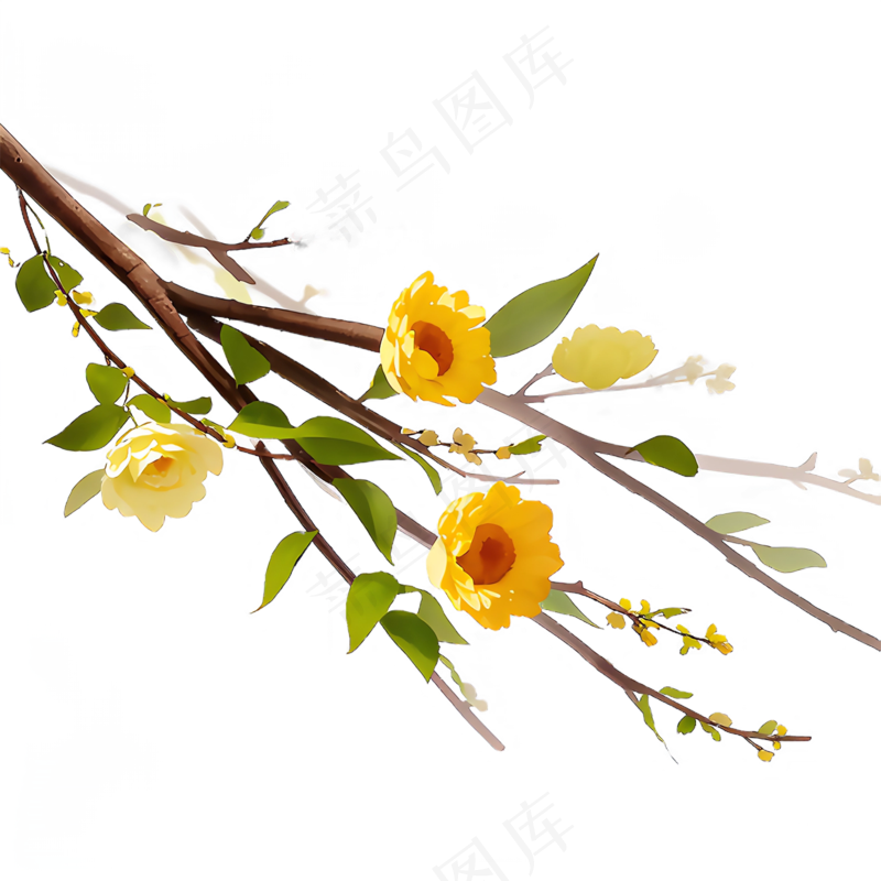 黄色 唯美 手绘 免抠 PNG 花 植物 素材30