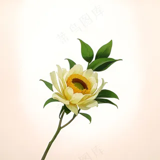 白色黄色手绘新中式风格花植物77 白色黄色手绘新中式风格花植物77
