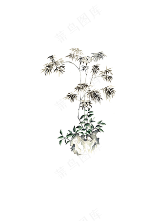 中国风水墨竹子图片古风竹叶竹林水彩手绘插画PNG免扣设计