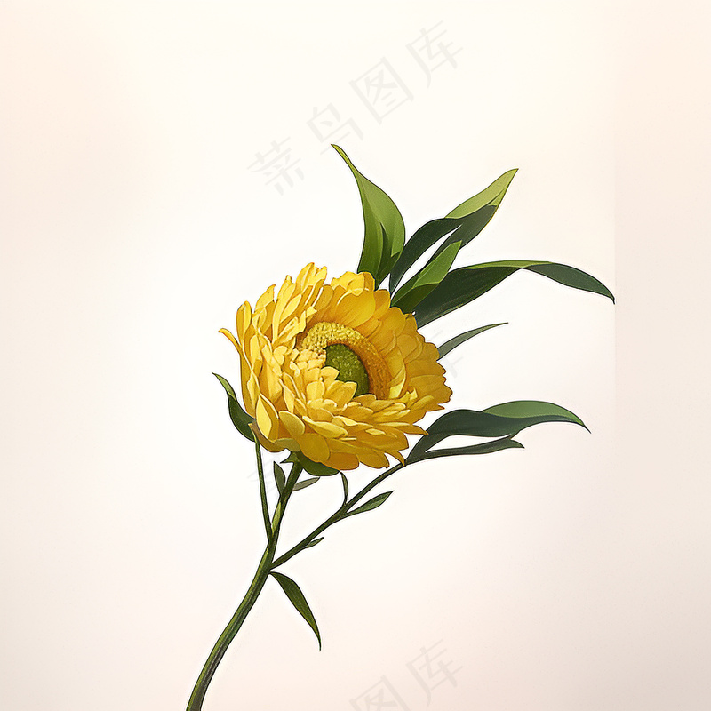 白色黄色手绘新中式风格花植物157