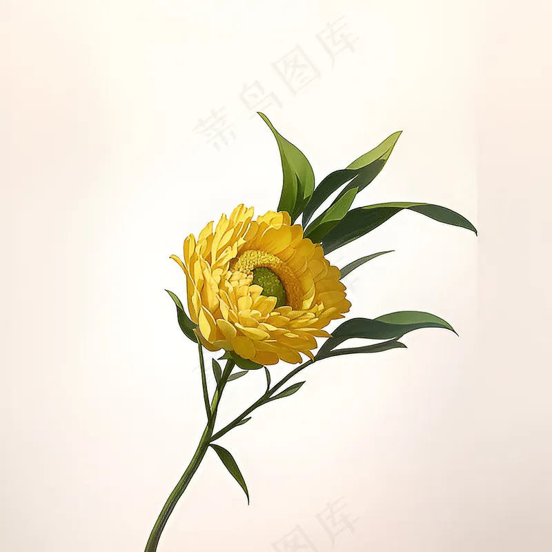 白色黄色手绘新中式风格花植物157 白色黄色手绘新中式风格花植物157