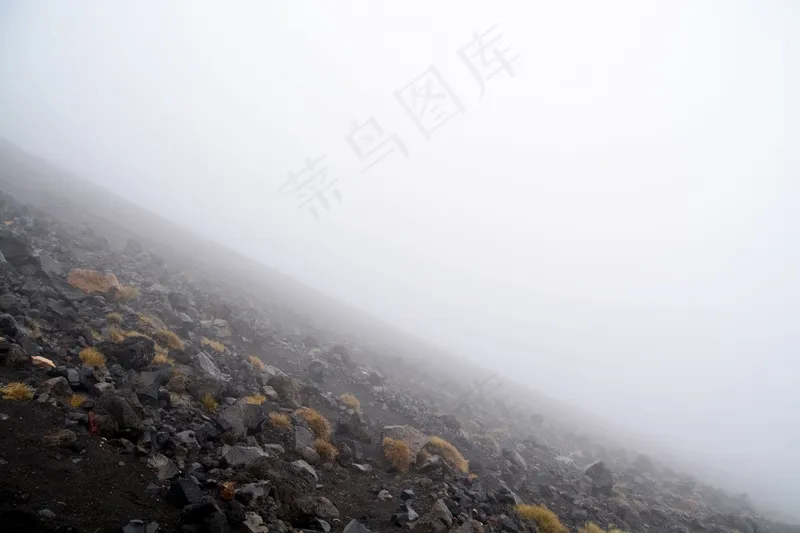 云雾森林图片