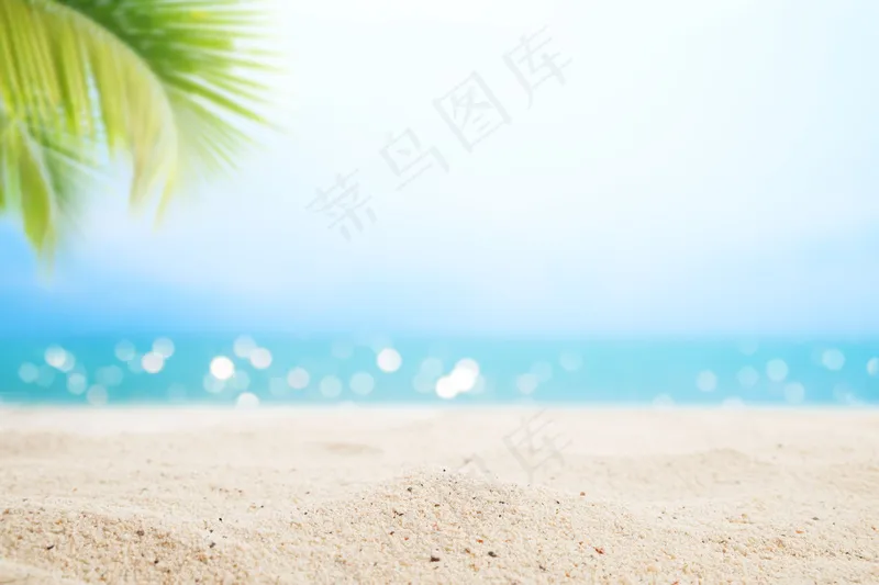 大海沙滩图片