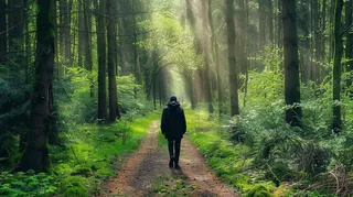 森林漫步阳光透过树枝丁达尔效应摄影图