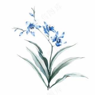 兰花水墨画中国风彩绘插画免抠