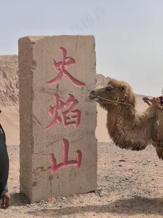 新疆吐鲁番骆驼沙漠