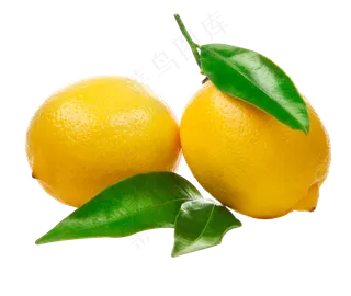 带叶子的新鲜柠檬
