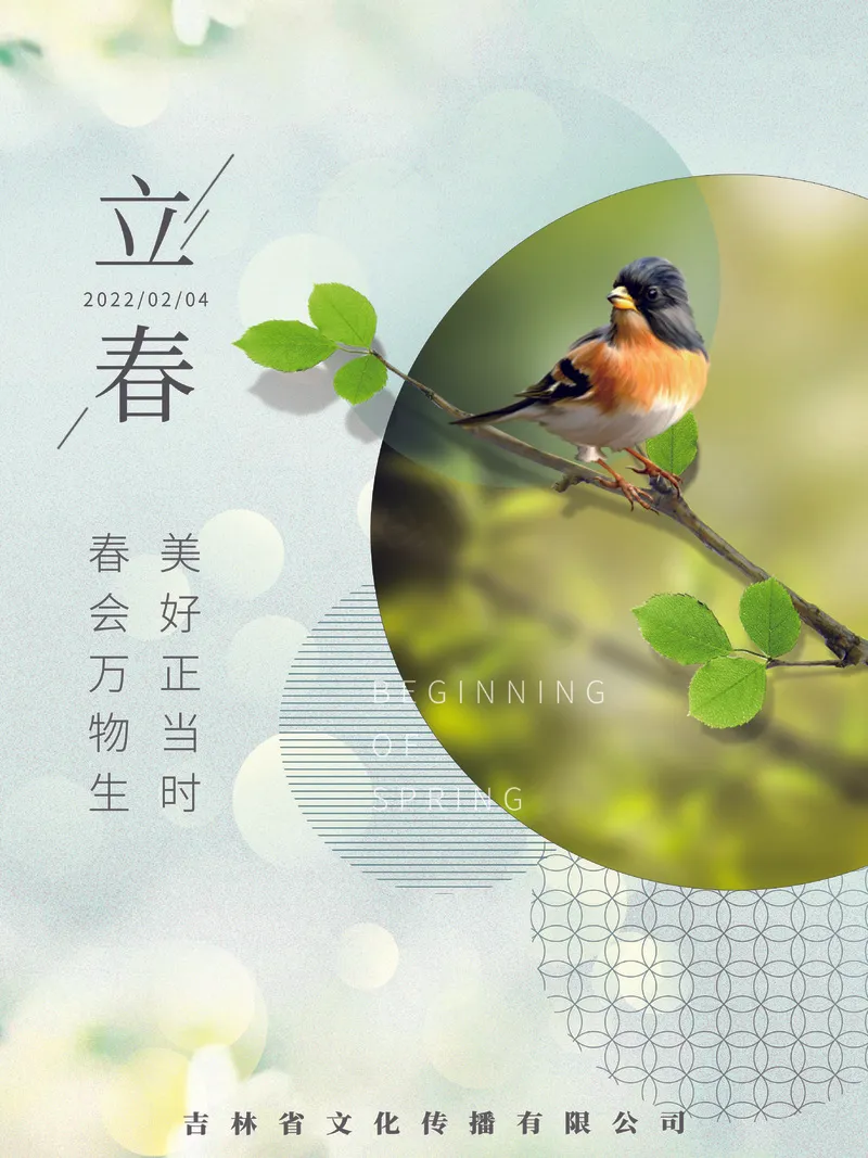 简约立春海报psd模版下载