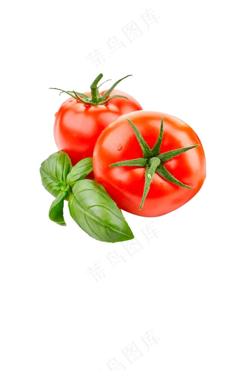 西红柿免抠