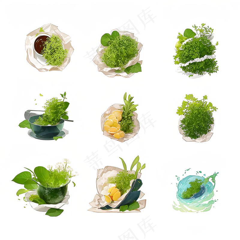 手绘练习小植物花草系列4