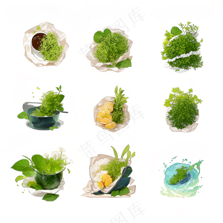 手绘练习小植物花草系列4