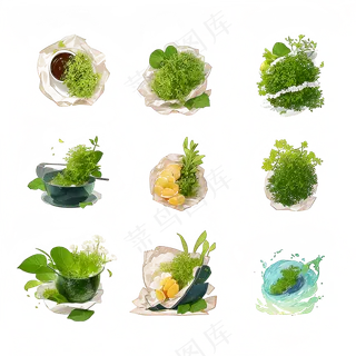 手绘练习小植物花草系列4