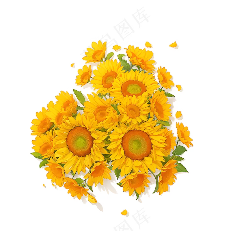 金色向日葵花丛素材15