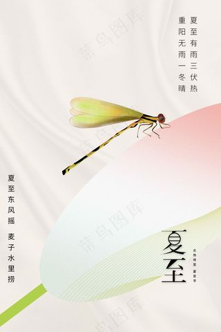 简约清新夏至节气海报