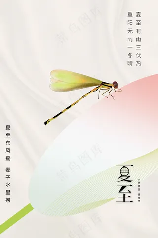 简约清新夏至节气海报