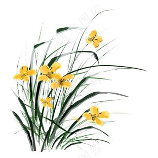 兰花水墨画中国风彩绘插画免抠