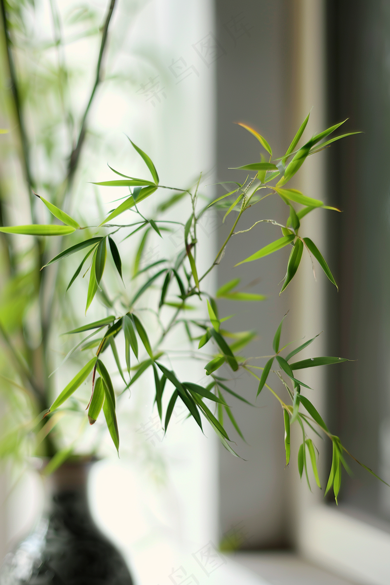 绿色竹叶插瓶室内淡雅摄影图