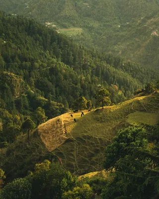 山谷中的宁静时光