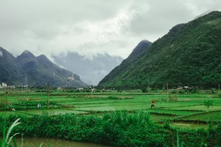 云雾缭绕的山谷稻田风光