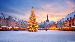 灿烂的灯光圣诞树市区景色高清壁纸